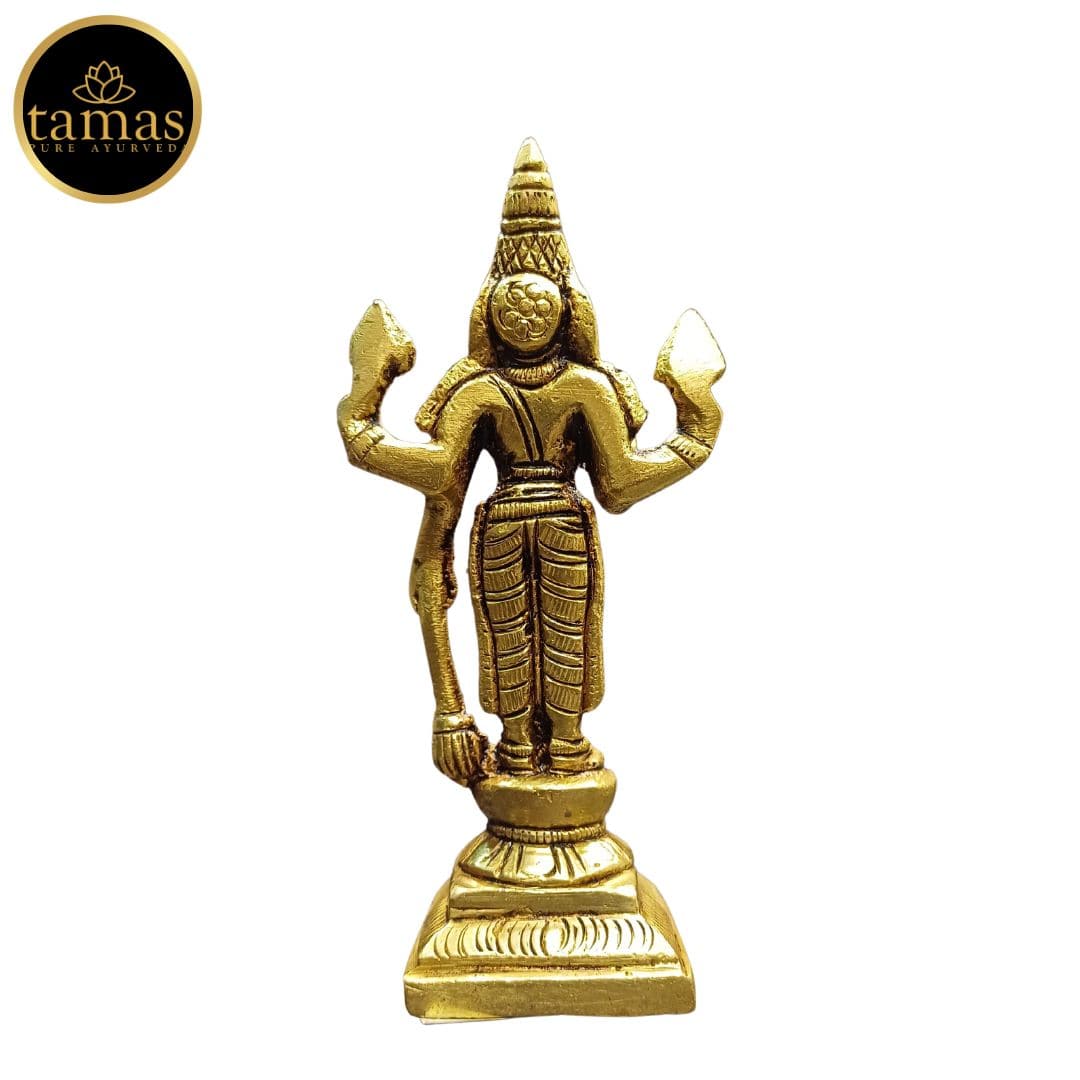 Tamas Brass  Lord Vishnu Statue