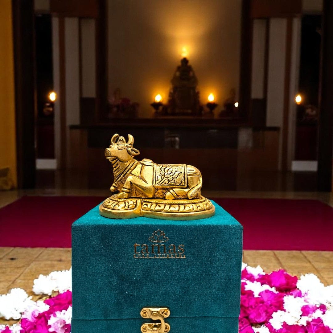 small brass Nandi statue for pooja room dƩcor and spiritual gifting