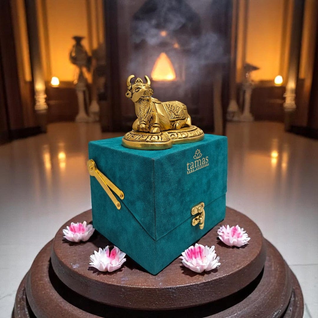 small brass Nandi statue for pooja room dƩcor and spiritual gifting