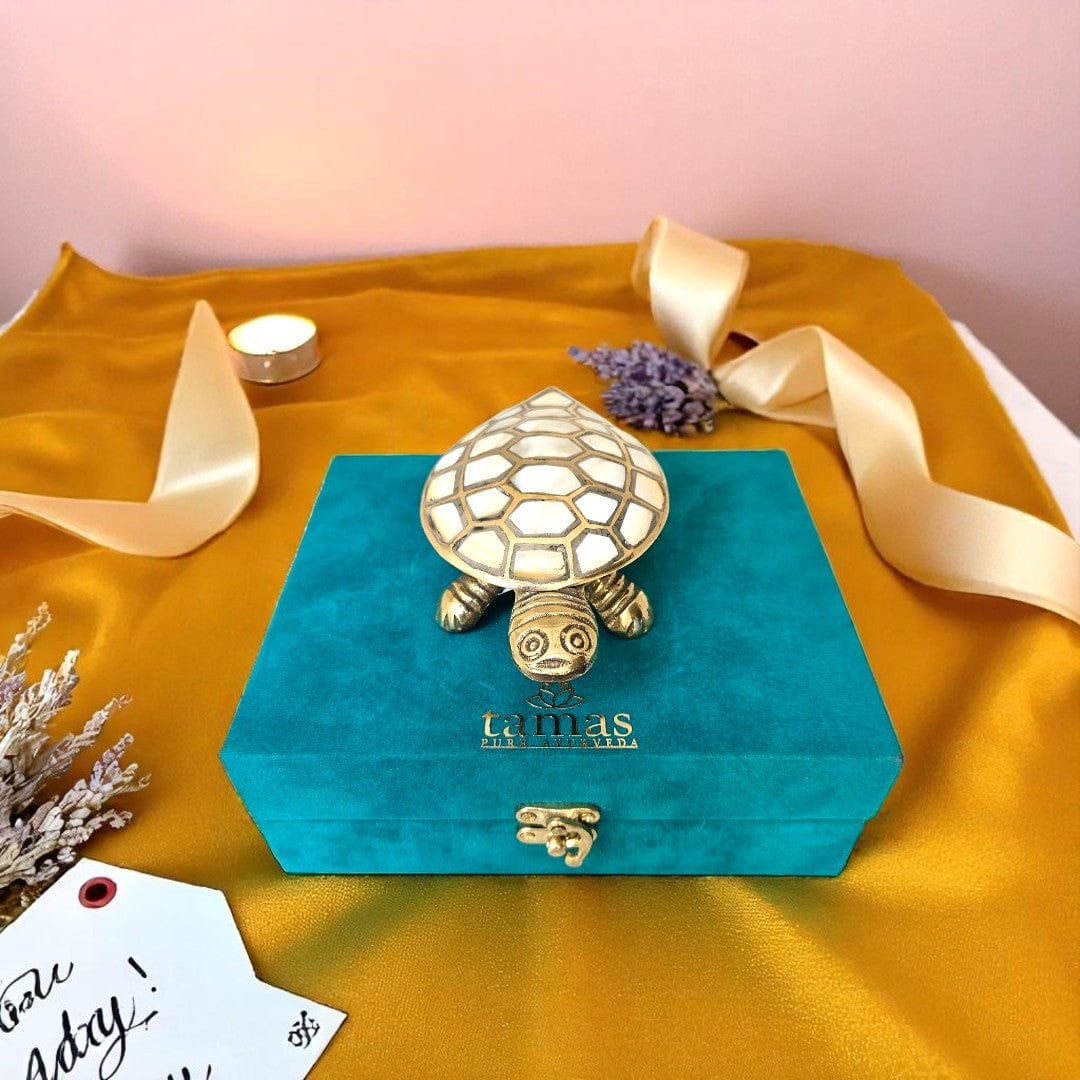 Tamas Pure Brass Wish-Fulfilling Tortoise