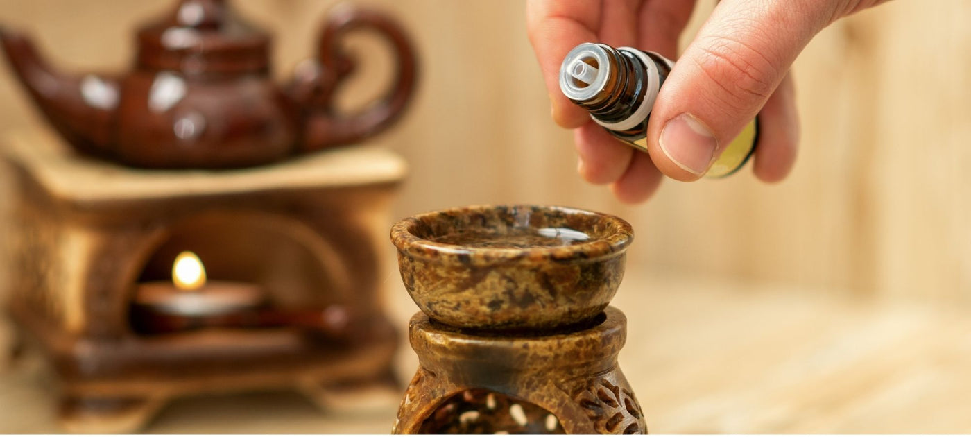 Natural Air Purifier