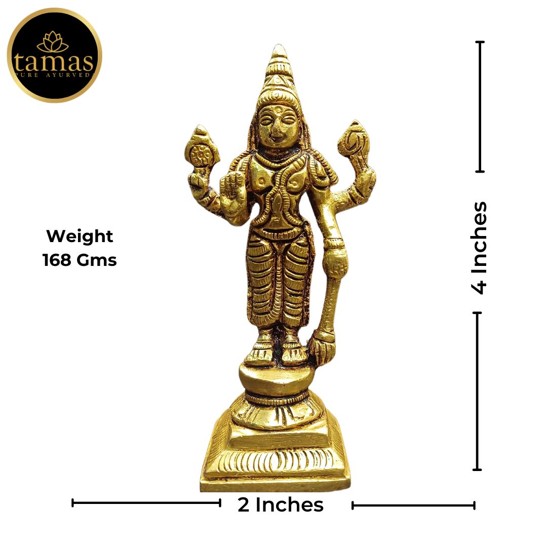 Tamas Brass Standing Lord Vishnu Statue/Idol (Golden) (4 Inches)
