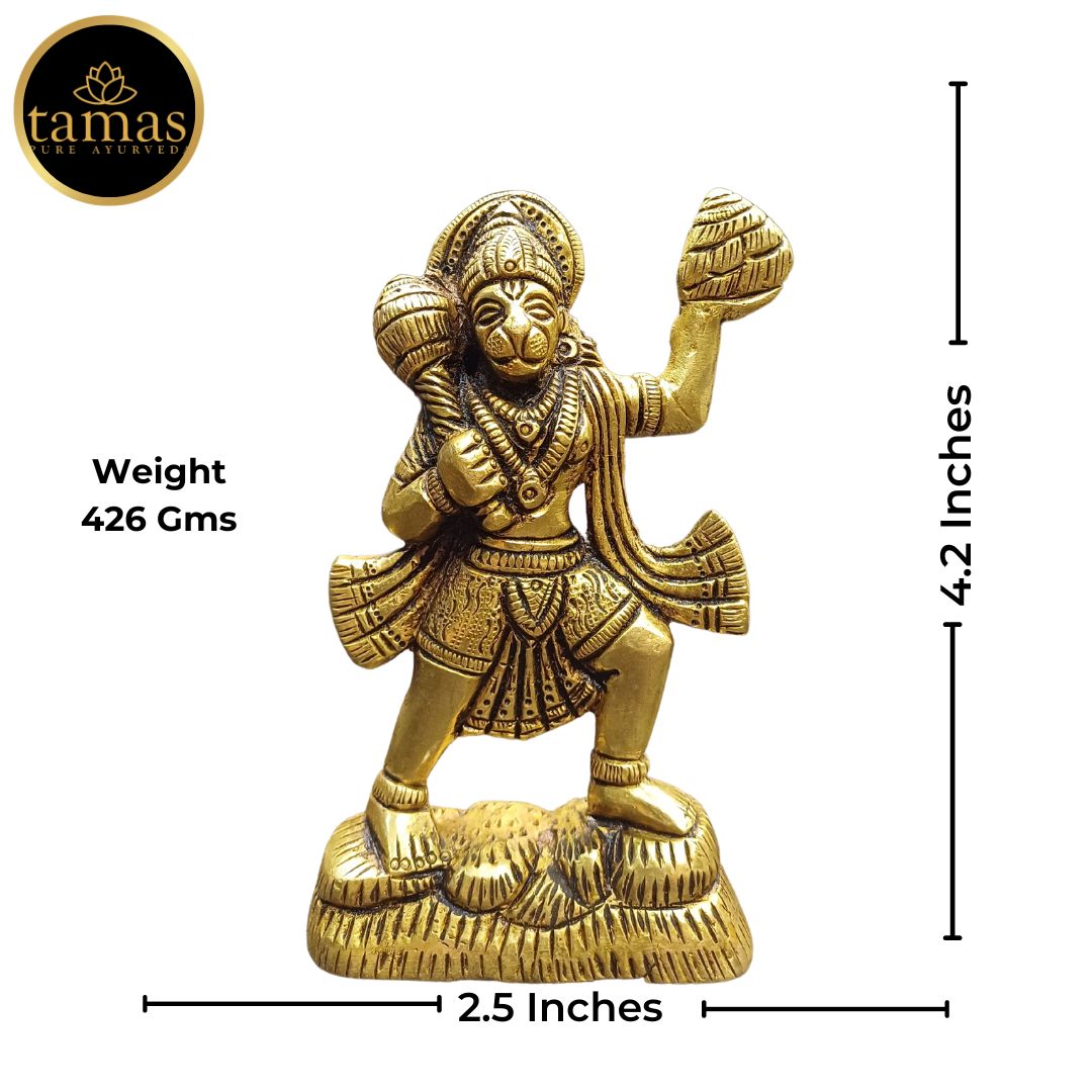 Brass Hanuman Idol