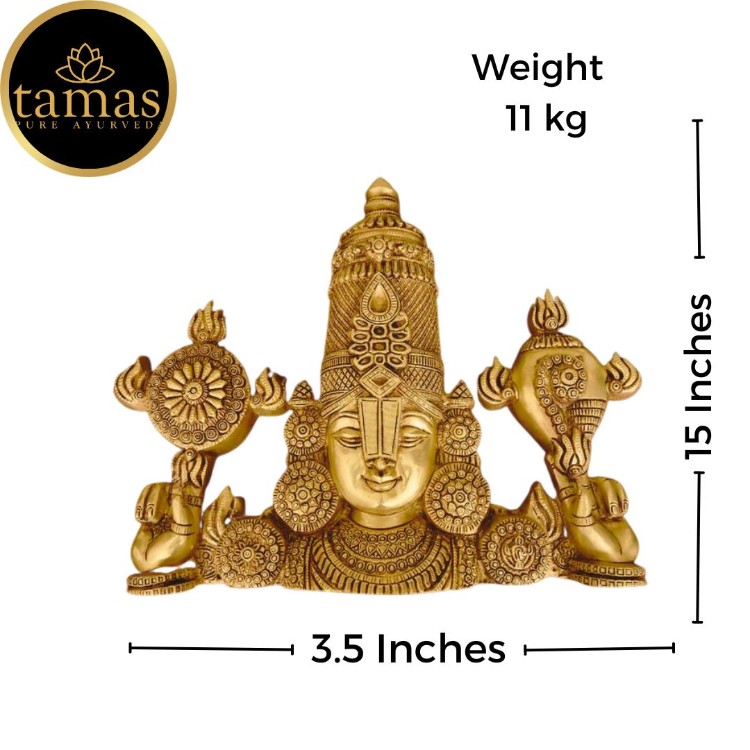 Tamas Brass Tirupati Bala Ji Wall Hanging (17 Inches)