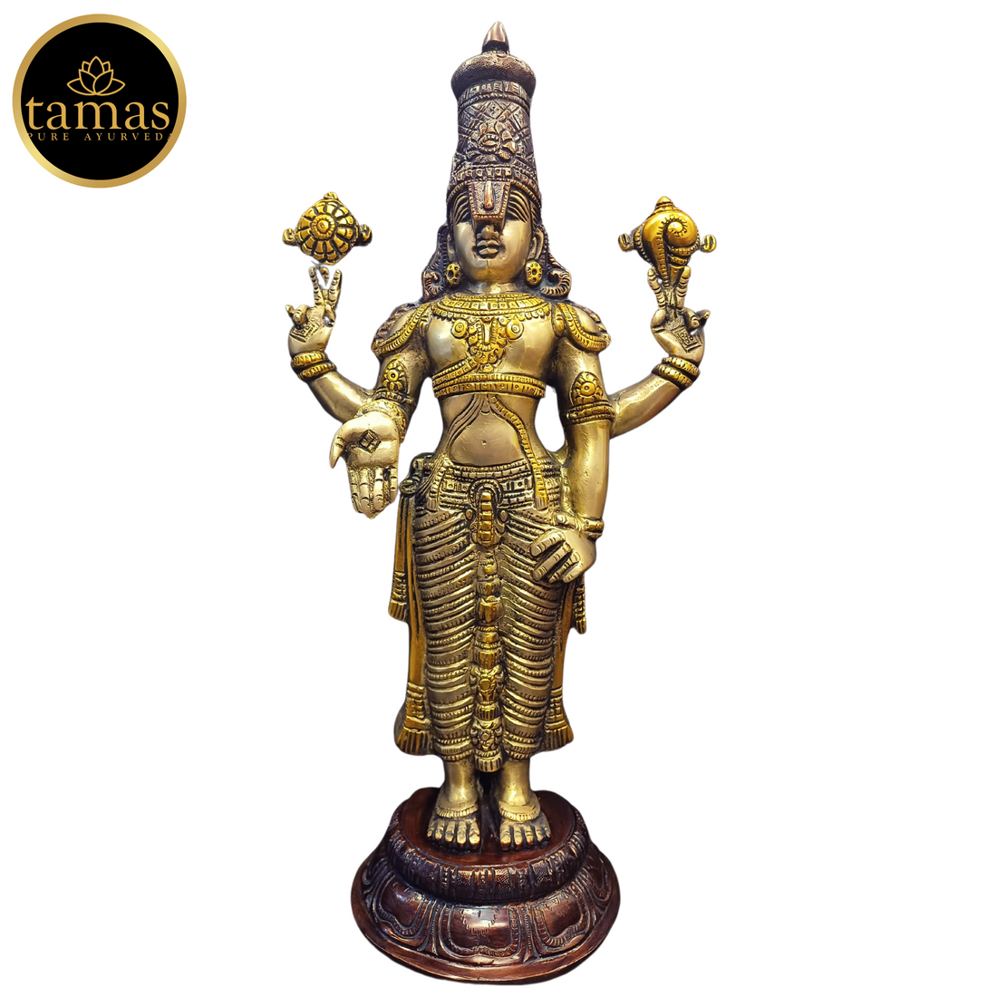 Tamas Brass Tirupati Bala Ji Statue (18 Inches)
