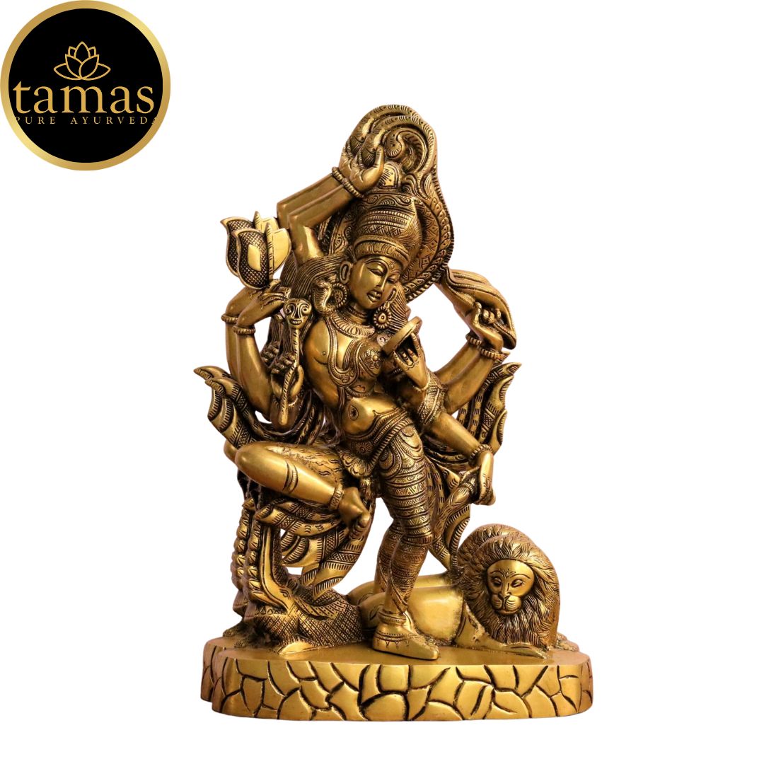 Tamas Brass Ardhanarishwara Statue (17 Inches)