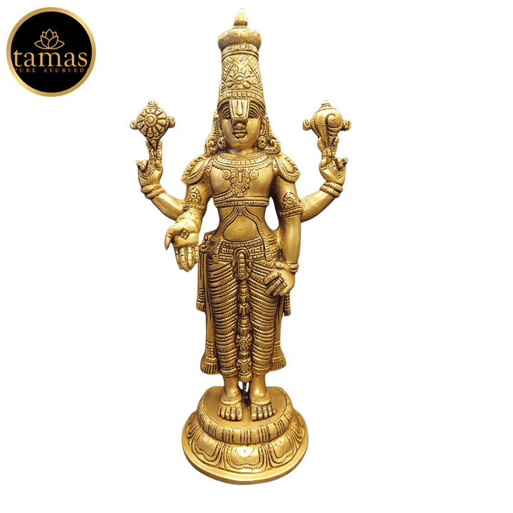 Brass Tirupati Bala Ji Statue