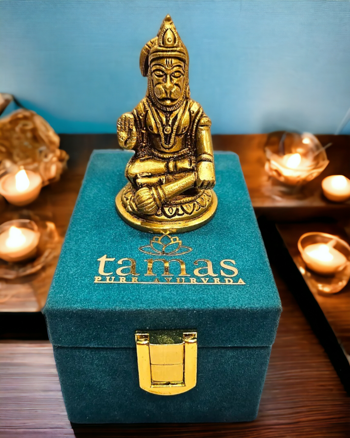 Brass Hanuman Murti