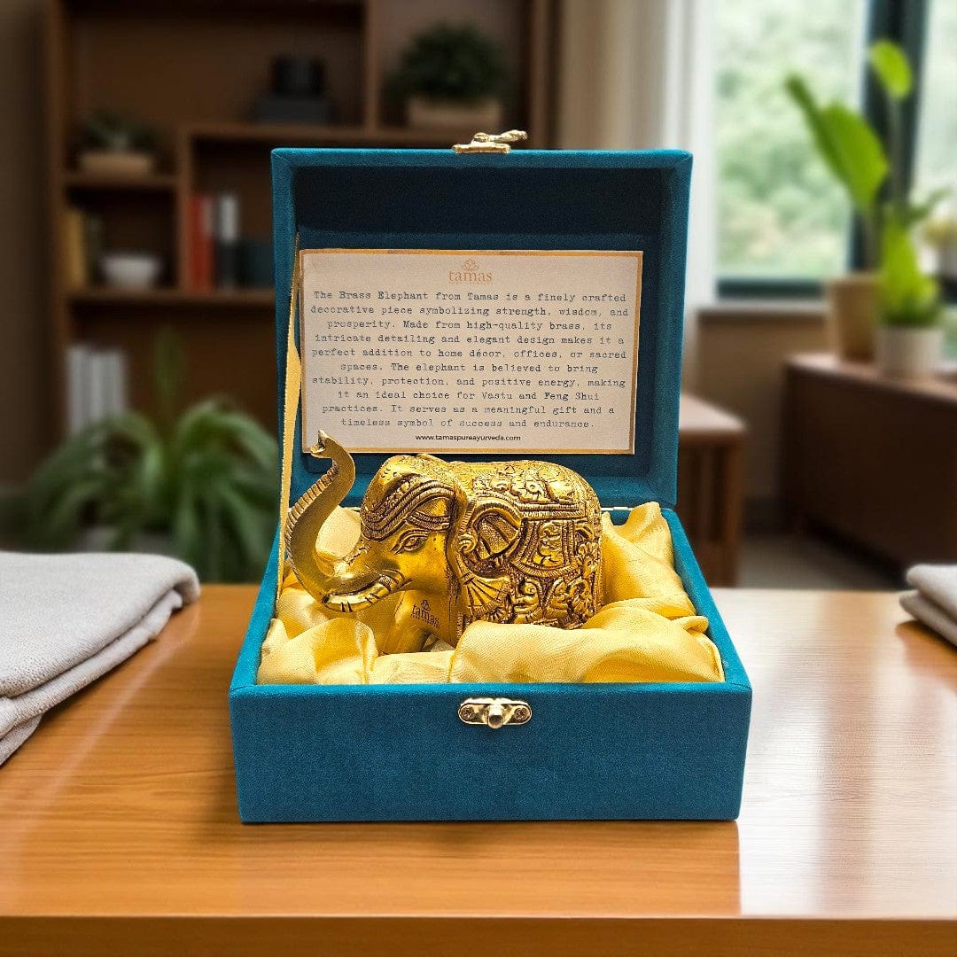 Tamas Brass Well Designed Elephant Statue/Idol (Golden)  - 4 Inches With Premium Gift Box