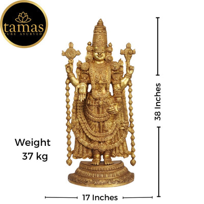 Tamas Brass Tirupati Bala Ji God Idol (38 Inches)