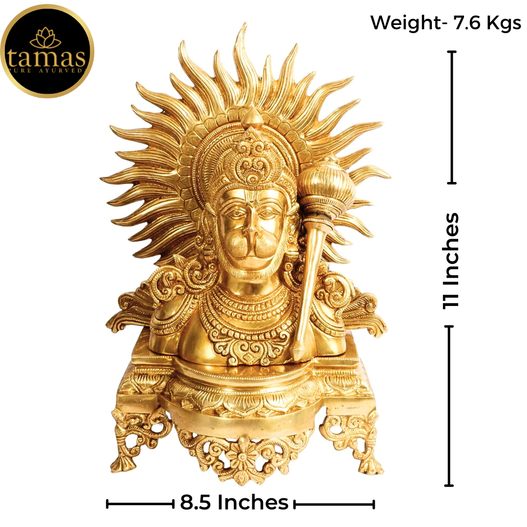 Tamas Brass Lord Hanuman ji Bust with Gada on Shoulder Murti (11 inches)