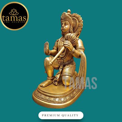 Tamas Brass Hanuman Ji Statue (11.2 Inch)