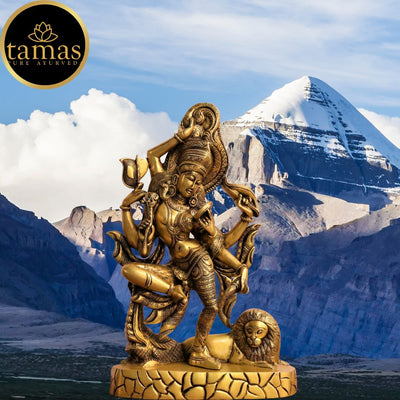 Tamas Brass Ardhanarishwara Statue (17 Inches)
