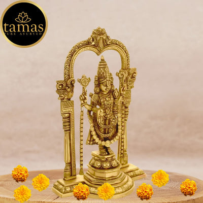 Tamas Brass Tirupati Bala Ji Statue (14 Inches)