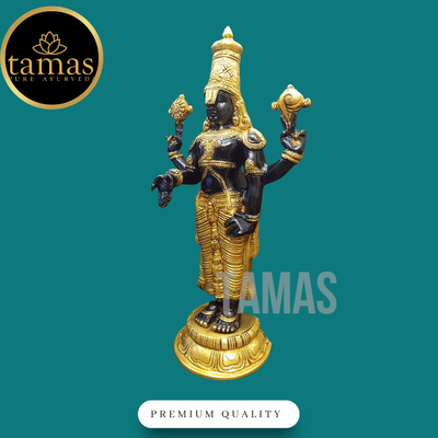 Tamas Brass Black Tirupati Bala Ji Statue (18 Inch)