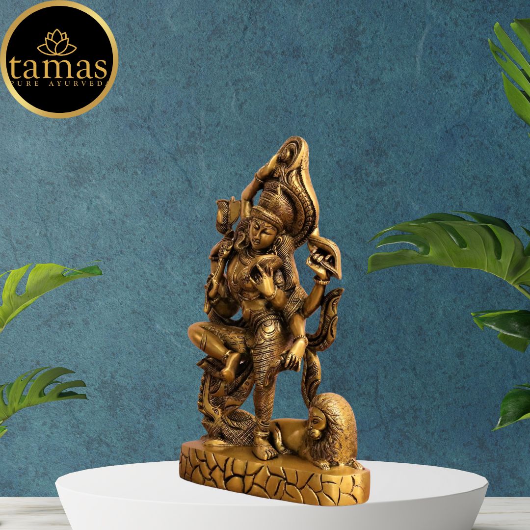 Tamas Brass Ardhanarishwara Statue (17 Inches)