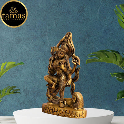 Tamas Brass Ardhanarishwara Statue (17 Inches)
