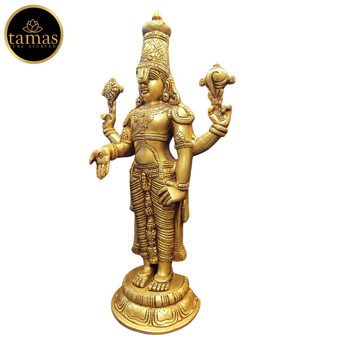 Tamas Brass Tirupati Bala Ji Statue (17 Inches)