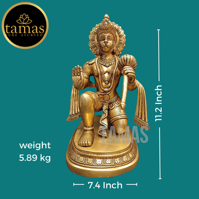 Tamas Brass Hanuman Ji Statue (11.2 Inch)