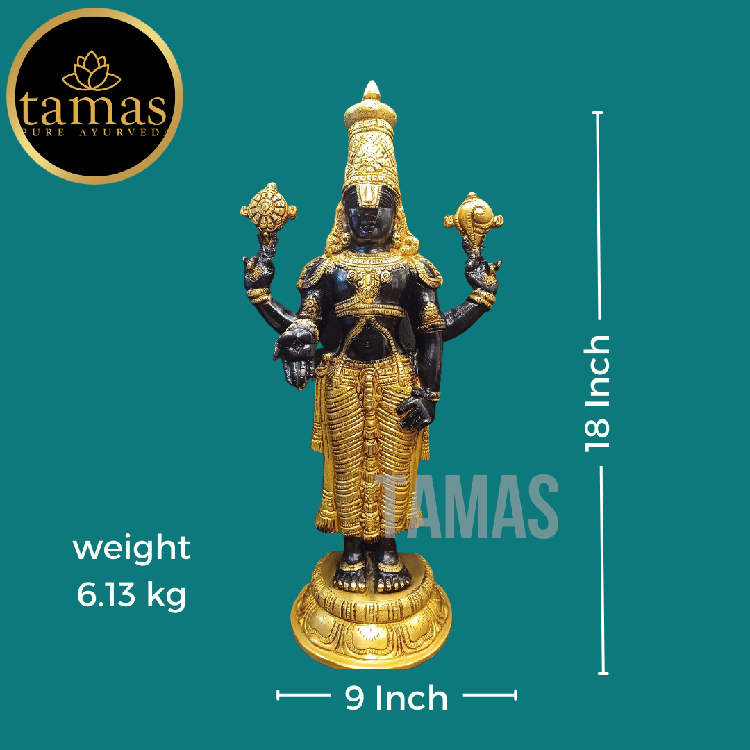 Tamas Brass Black Tirupati Bala Ji Statue (18 Inch)