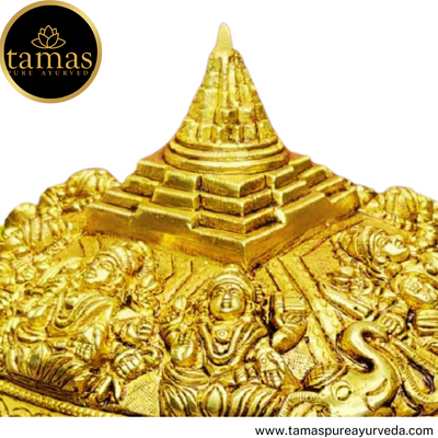 Tamas Brass Handcrafted Lord Ashtalakshmi/Ashta Lakshmi on Tortoise Meru Shree Yantra   Statue / Idol with Antique Finish (9 x 13.6 x 6 Inches, 6.1kg, Golden) (Pack of 1)