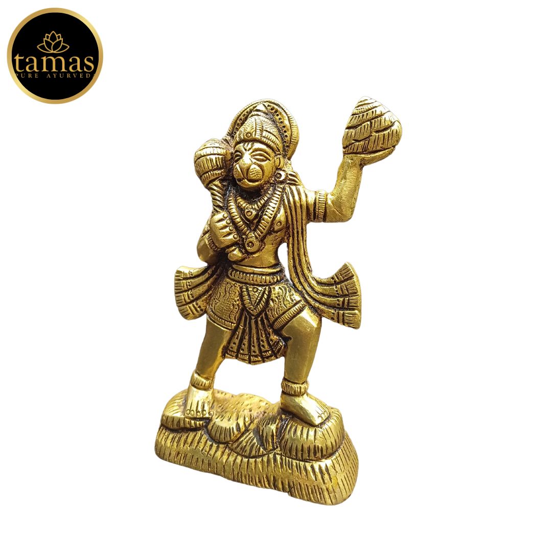 Brass Hanuman Idol
