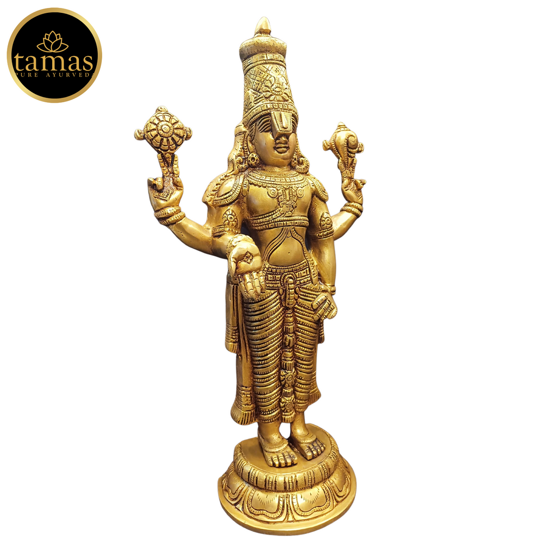Tamas Brass Tirupati Bala Ji Statue (17 Inches)