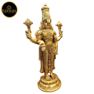 Tamas Brass Tirupati Bala Ji Statue (17 Inches)