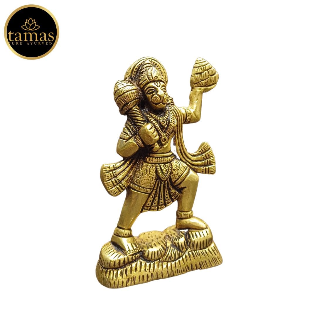 Brass Hanuman Idol