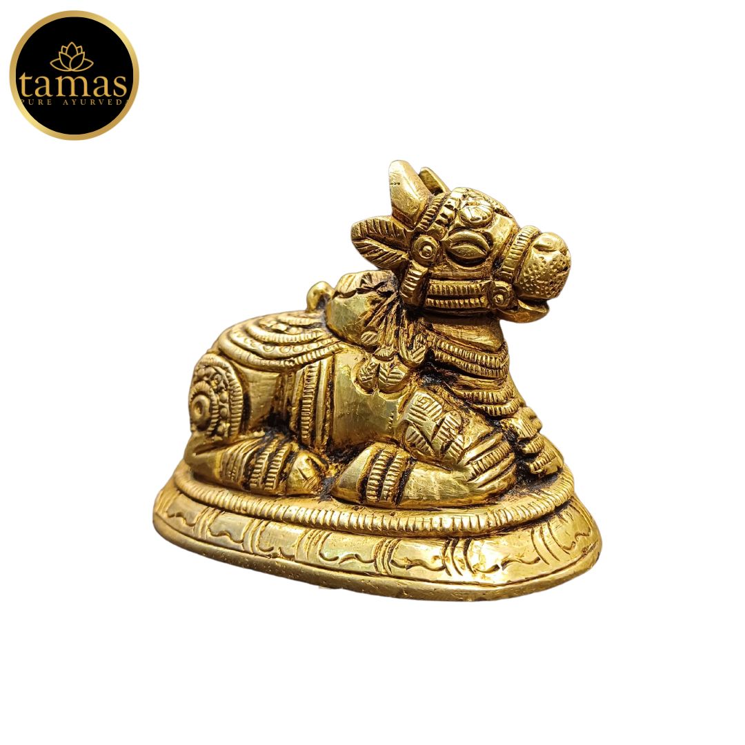 Tamas Brass Nandi Bull Statue/Idol (Golden) (2 Inches)