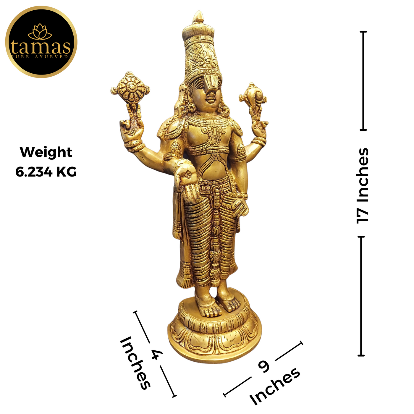 Tamas Brass Tirupati Bala Ji Statue (17 Inches)