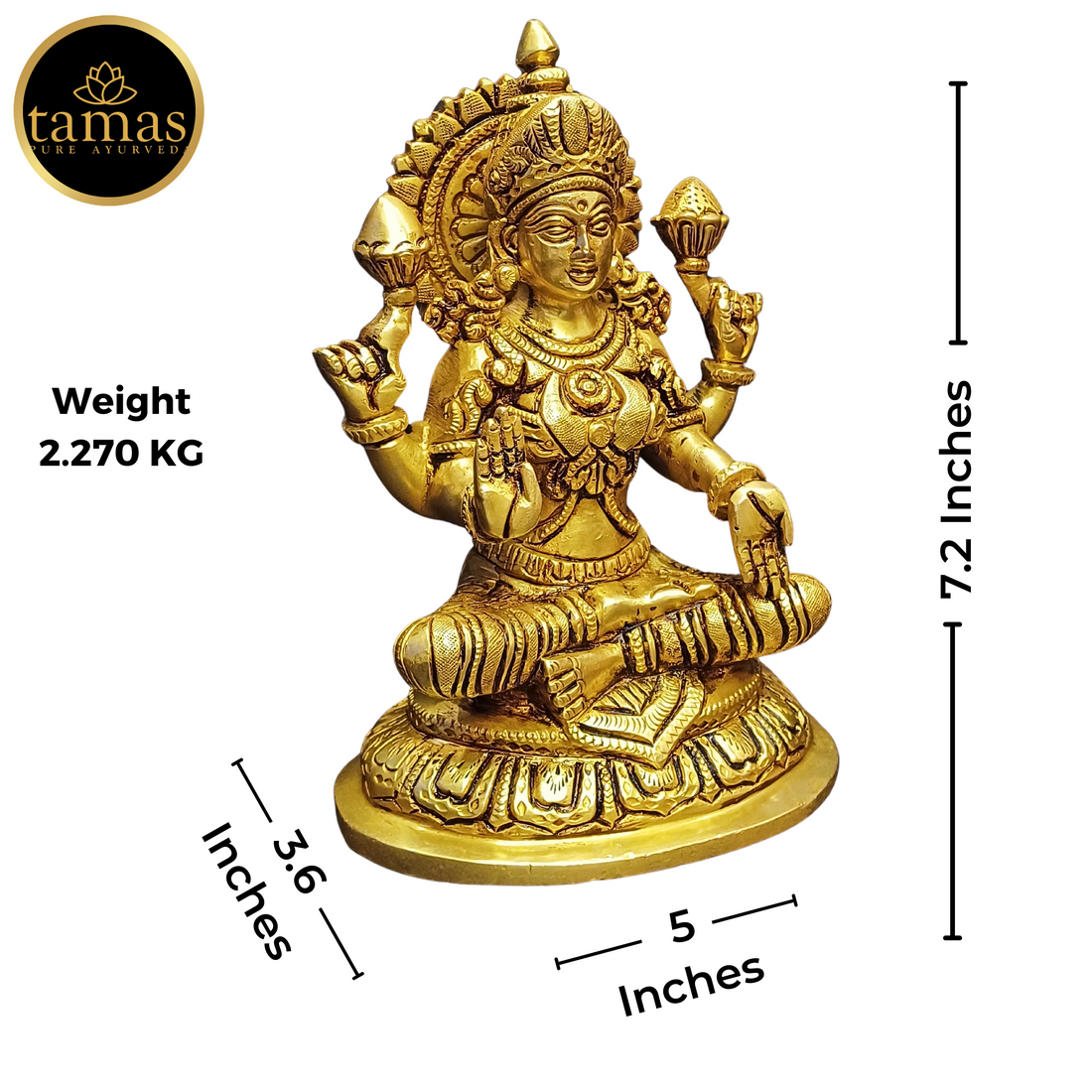 Tamas Brass Lakshmi Statue (7.2 Inches) | | Free Premium Gift Box