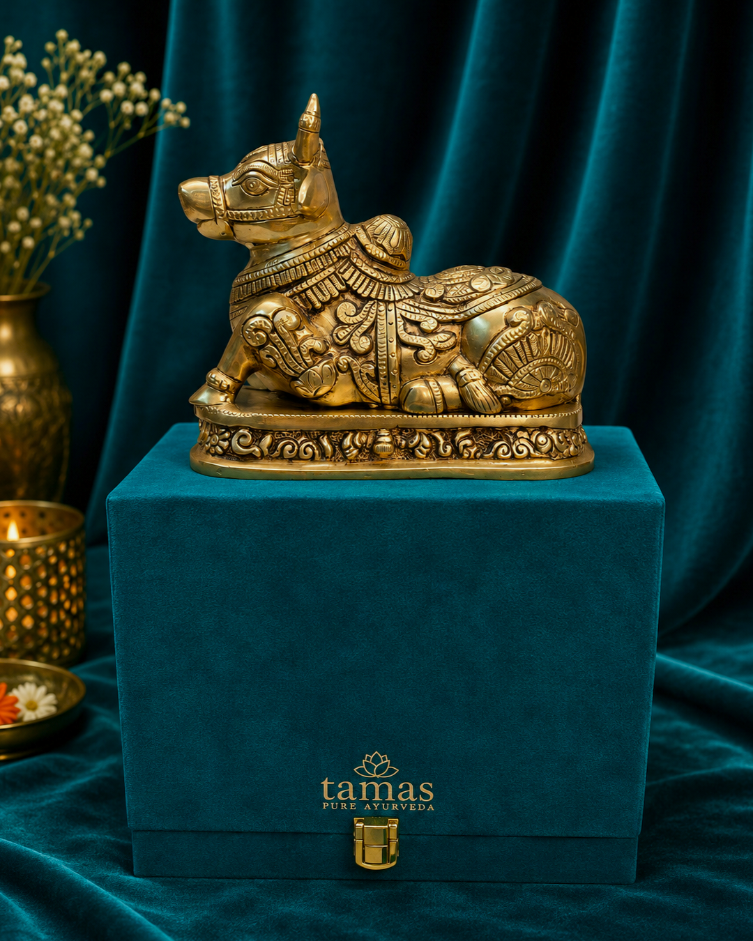 Tamas Brass Divine Nandi ( 6 inch)