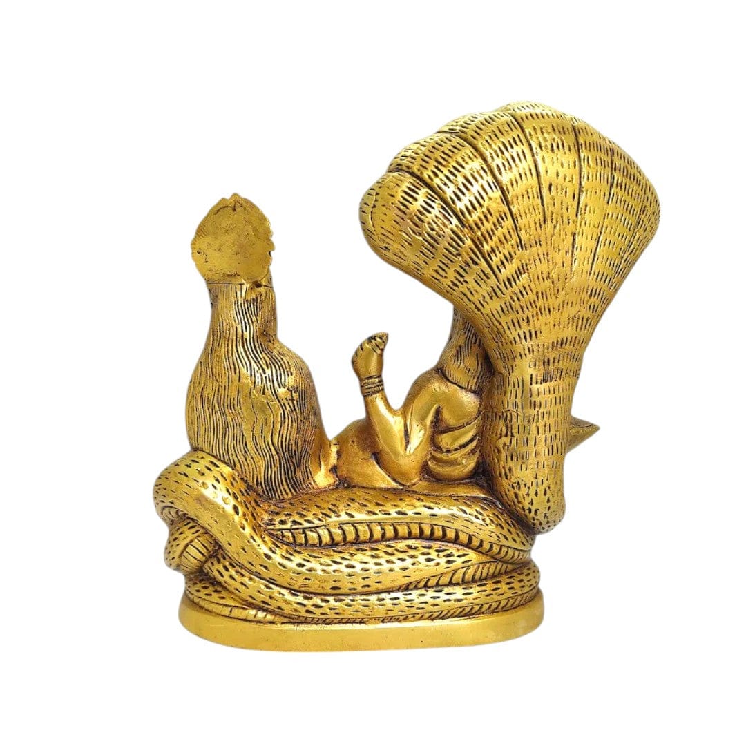 Brass Lakshmi Naryan Idol