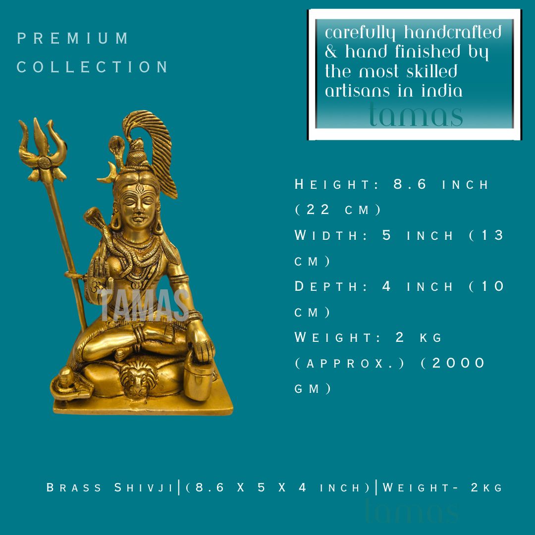 Brass Shivji | (8.6 X 5 X 4 inch) |Weight- 2kg