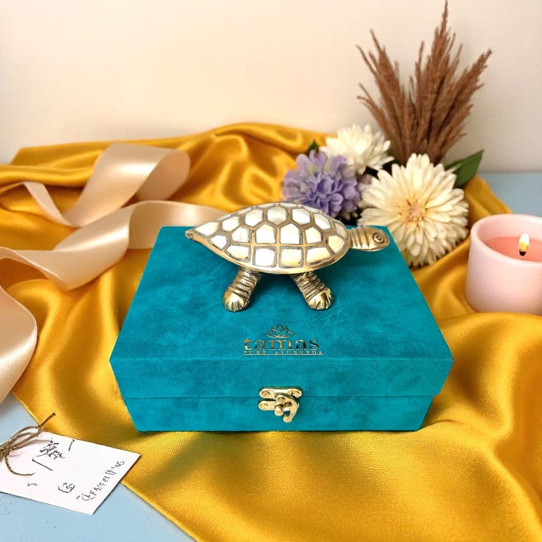 Tamas Pure Brass Wish-Fulfilling Tortoise