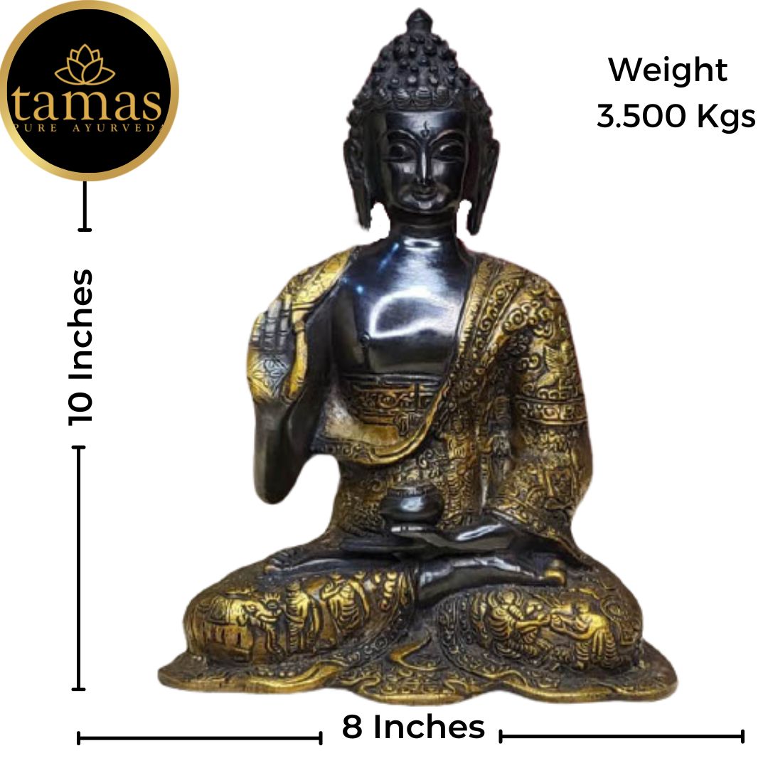 Tamas Brass Handcrafted Lord Buddha Statue / Idol with Antique Finish (8 x 5 x 10 Inches, Golden & Black) (Pack of 1)