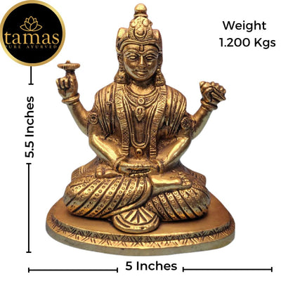Tamas Brass Handcrafted Lord Badrinath Ji Statue / Idol  with Antique Finish (5 x 3.5 x 5.5 Inches, Golden) (Pack of 1)