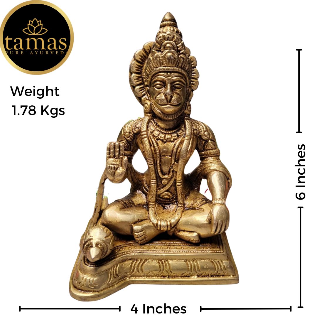 Tamas Brass Blessing Lord Hanuman Idol(Golden) Height: 6 inches