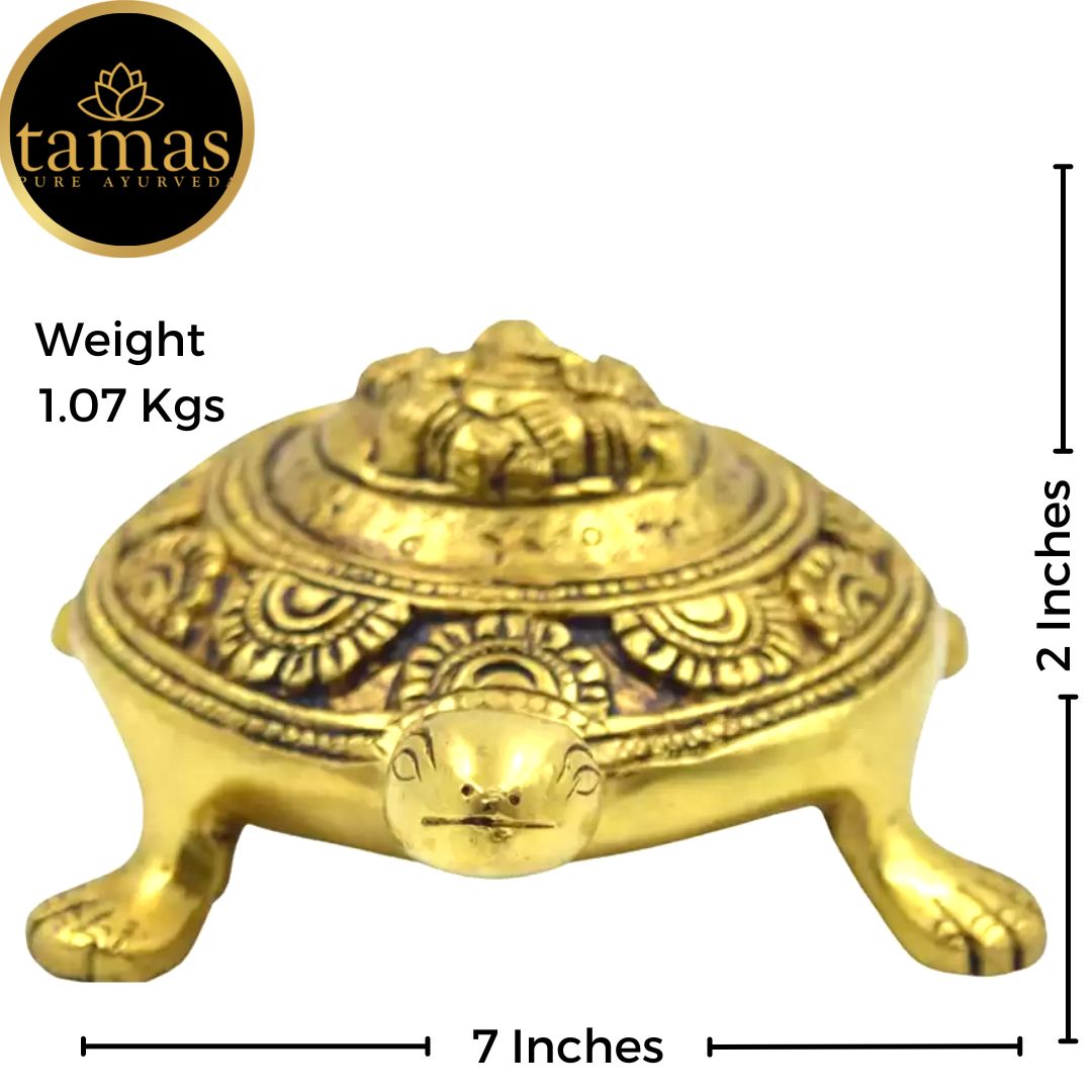 Tamas Brass Good Luck Ganesh Tortoise for Vastu(Golden) Height: 2 inches