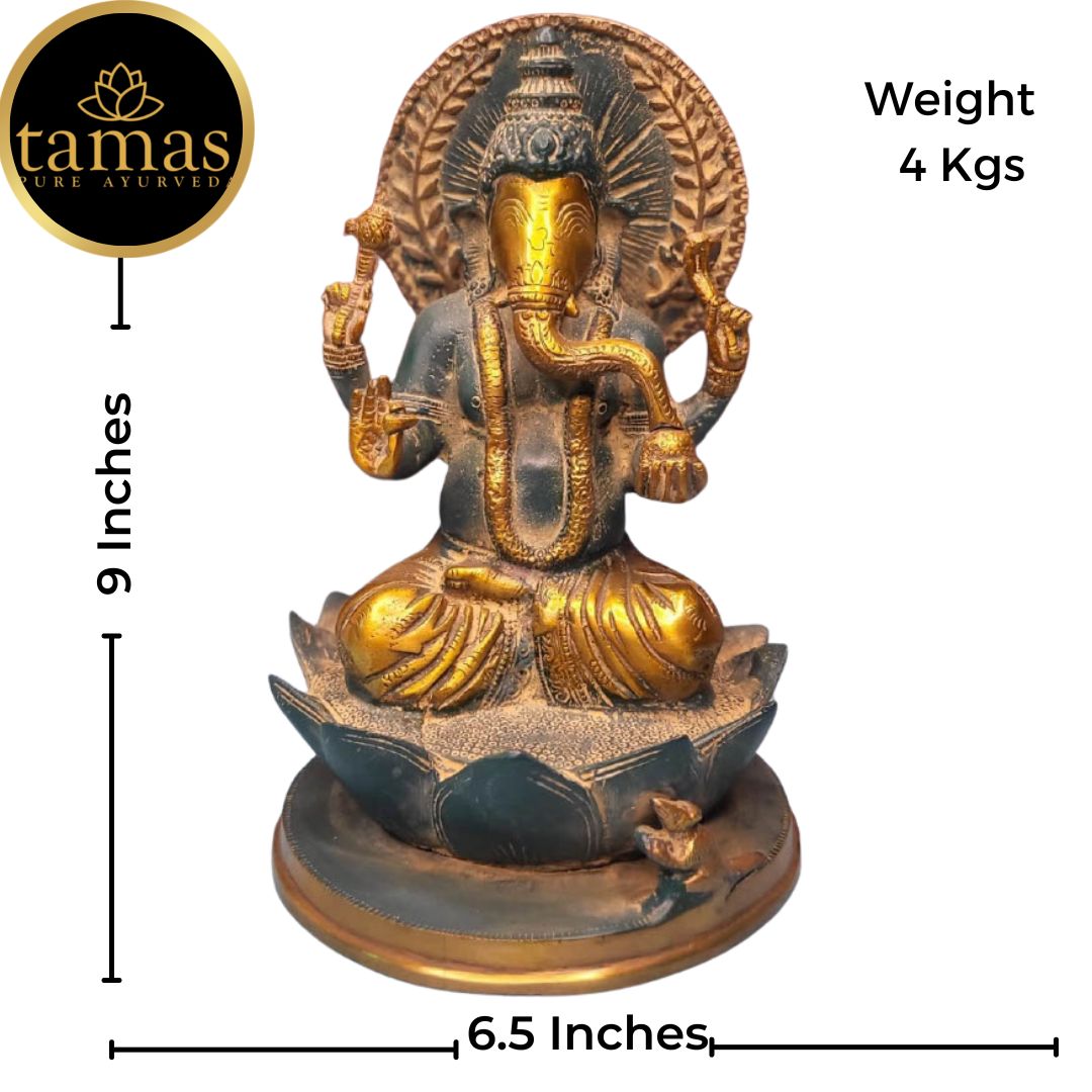 Tamas Brass Handcrafted Lord of Prosperity and Fortune Ganesha Statue Sitting on Lotus  Statue / Idol with Antique Finish (6.5 x 6.5 x 9 Inches, Multicolour) (Pack of 1)