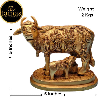 Tamas Brass Handcrafted Kamdhenu Cow and Calf Statue / Idol with Antique Finish (5 x 3.5 x 5 Inches, Golden) (Pack of 1)