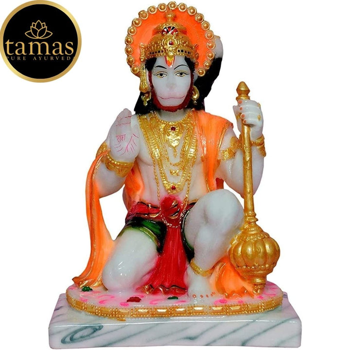Tamas Marble Dust Gold Plated Lord Hanuman Ji Statue (8.5 Inches, Multicolor)