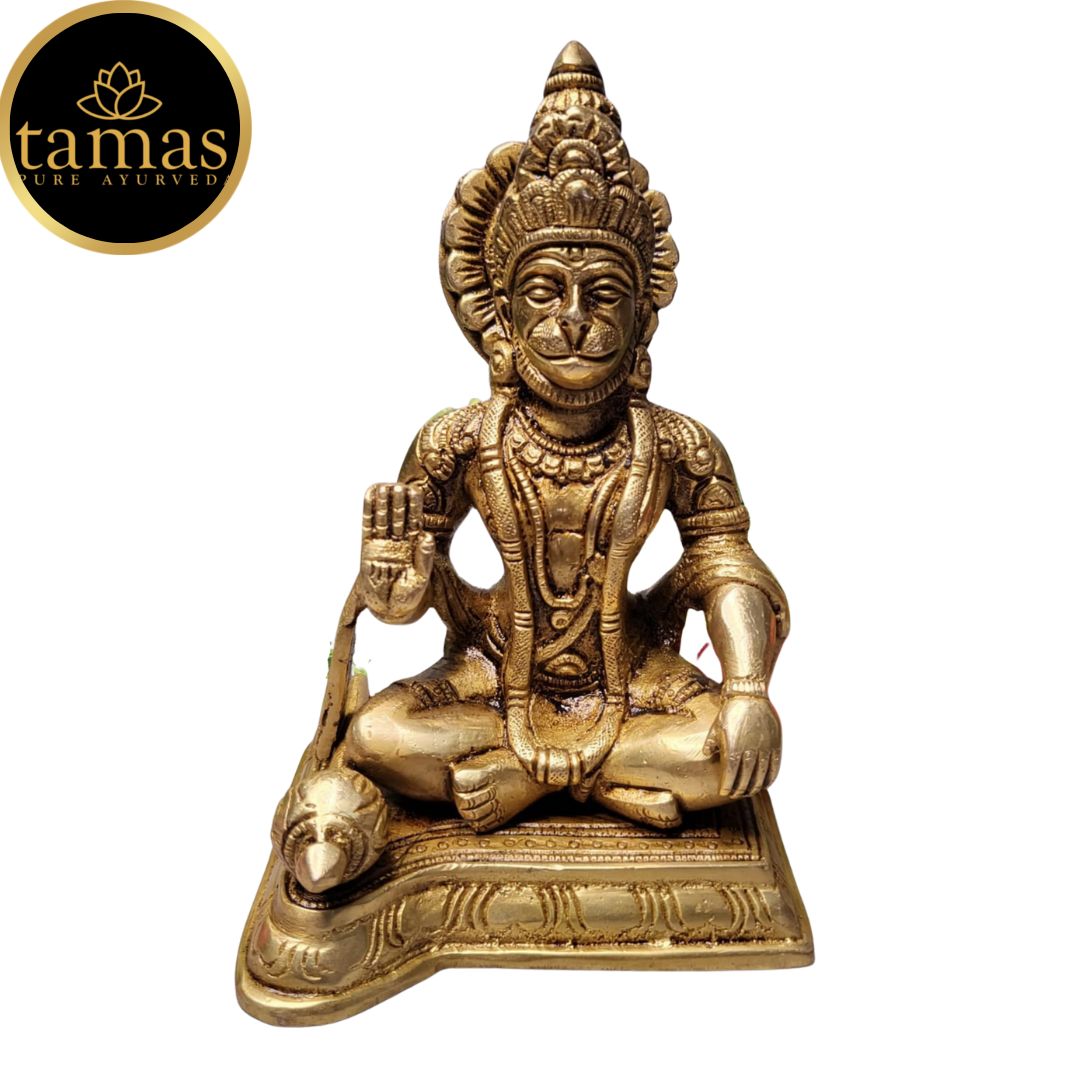Tamas Brass Blessing Lord Hanuman Idol(Golden) Height: 6 inches