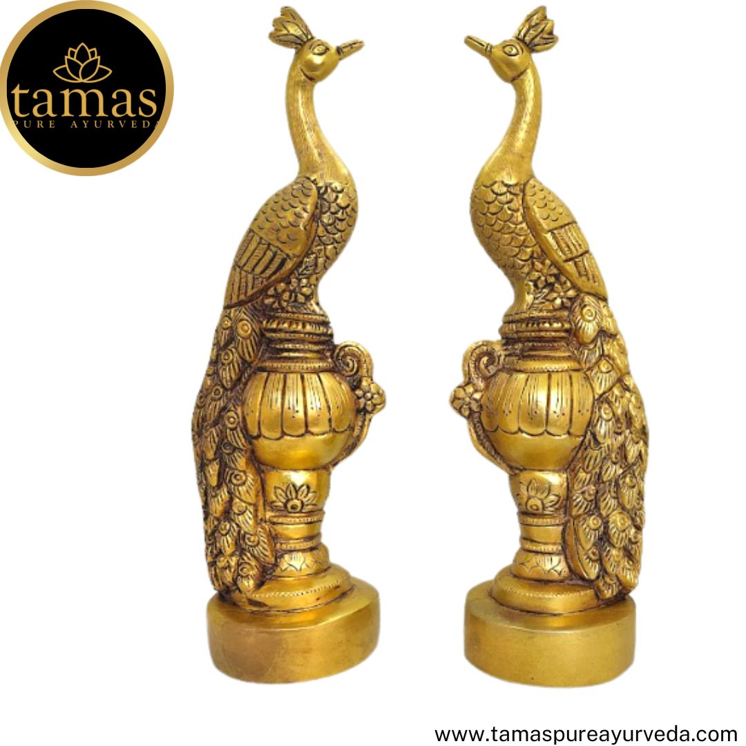Tamas Brass Handcrafted Peacock Sitting on a Urn Statue / Idol with Antique Finish (2 x 3 x 11 Inches, Golden)