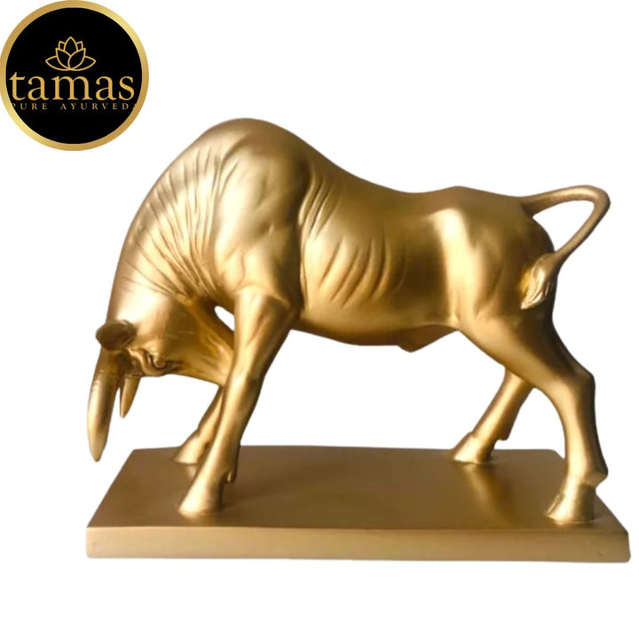 Tamas Poly Resin Majestic Charging Bull (L: 9 inches, W: 4 inches, H: 8 inches)