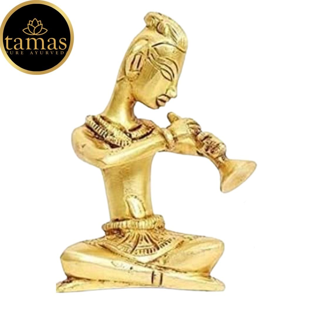 Brass Musician Playing Shehnai Idol