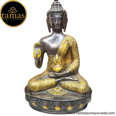 Tamas Brass Handcrafted Lord Buddha Blessing Position  Statue / Idol with Antique Finish (7 x 5 x 12 Inches, Brown & Golden) (Pack of 1)