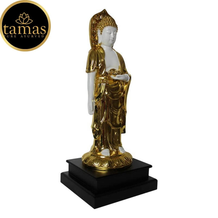 Tamas Poly Resin Gold Plated Standing Buddha Statue (20.5 Inches, White & Golden)
