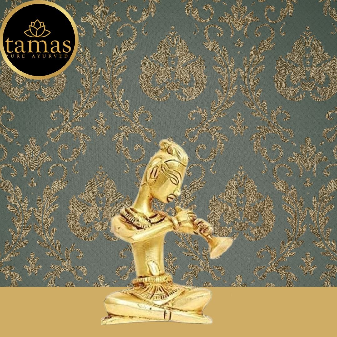Brass Musician Playing Shehnai Idol